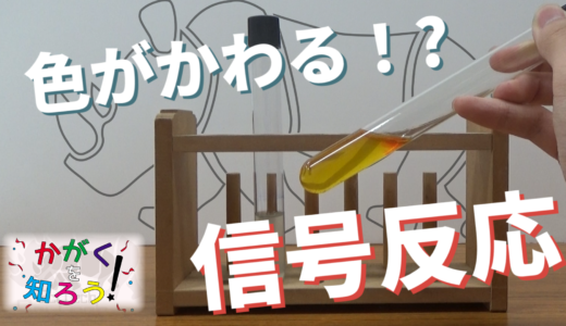 かがくを知ろう！「信号反応～振ると色が変わる不思議な水～」