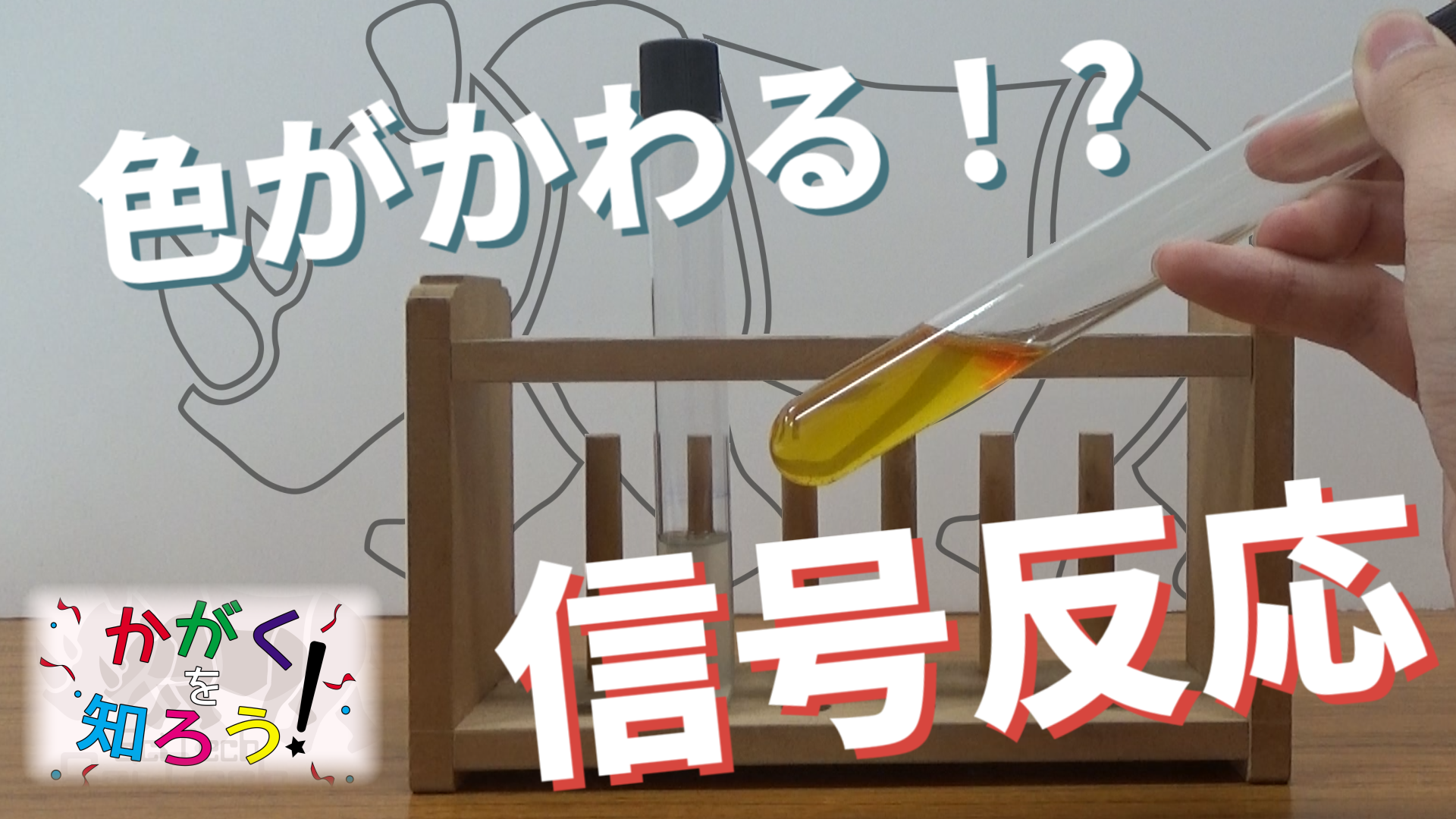 かがくを知ろう 信号反応 振ると色が変わる不思議な水 東工大sciencetechno かがくを知ろう 信号反応 振ると色が変わる不思議な水 東工大sciencetechno