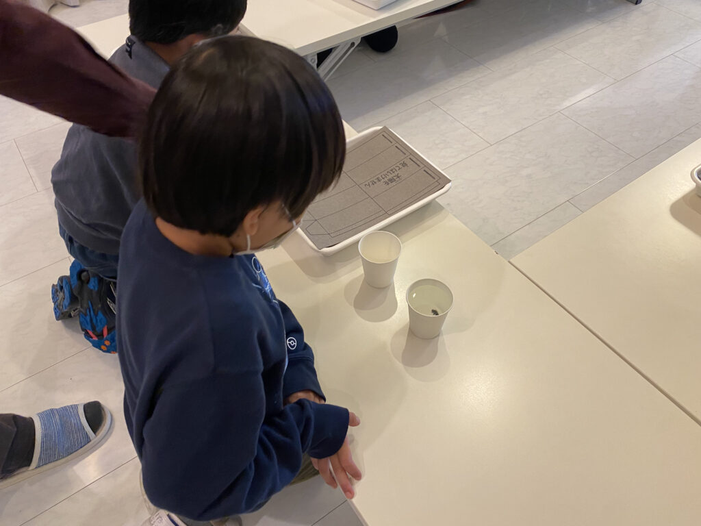 コップに水を入れたものと入れてないものを用意して、屈折を確認している児童