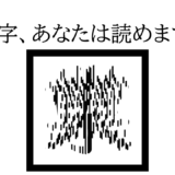 この文字、あなたは読めますか？のあとに、文字というより、ノイズのような模様の写真